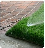 automatic lawn sprinkler